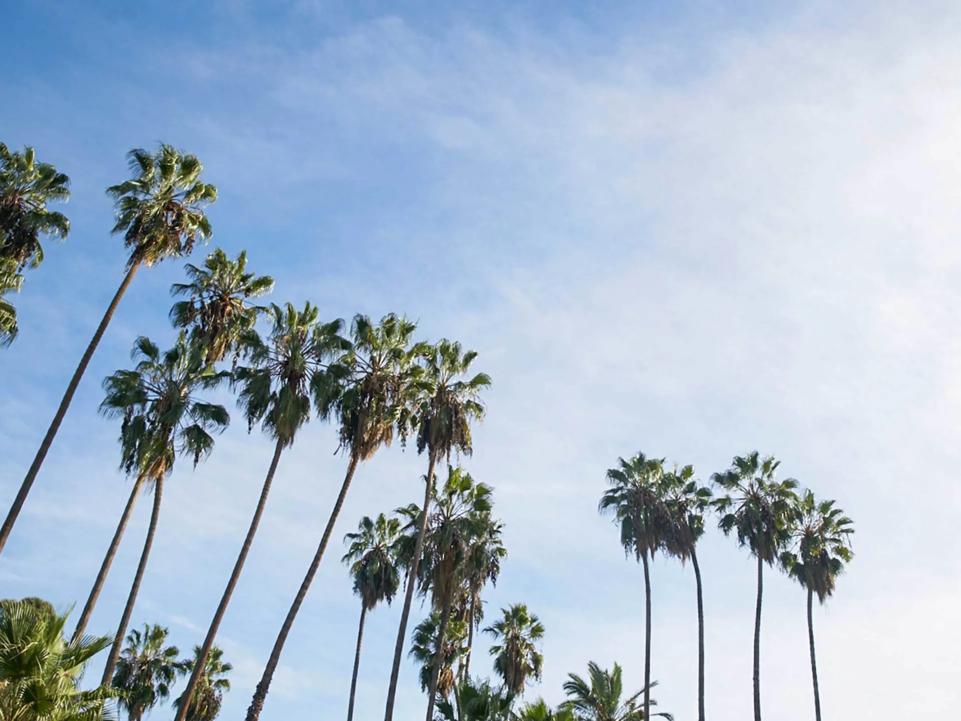 Primary image for Academy of Motion Picture Arts and Sciences/Samuel Goldwyn Theater