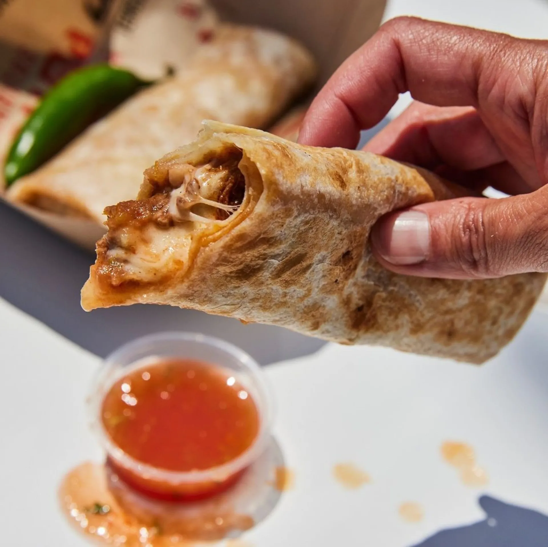 Birria burrito at Burritos La Palma