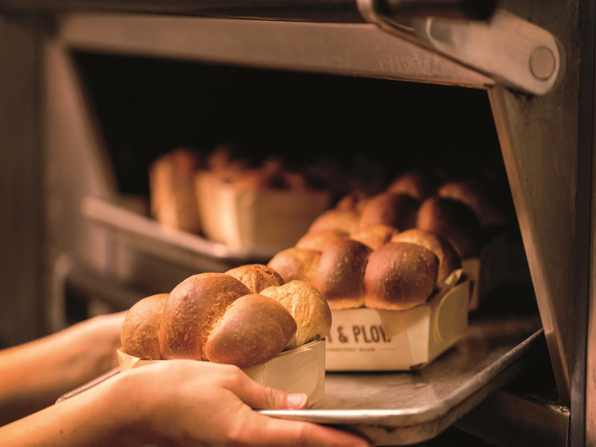 Cast & Plow Herb Brioche