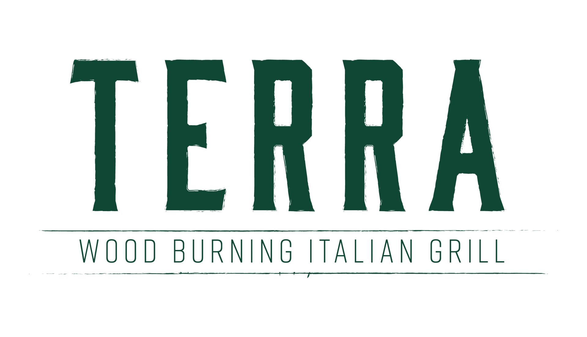 Terra logo
