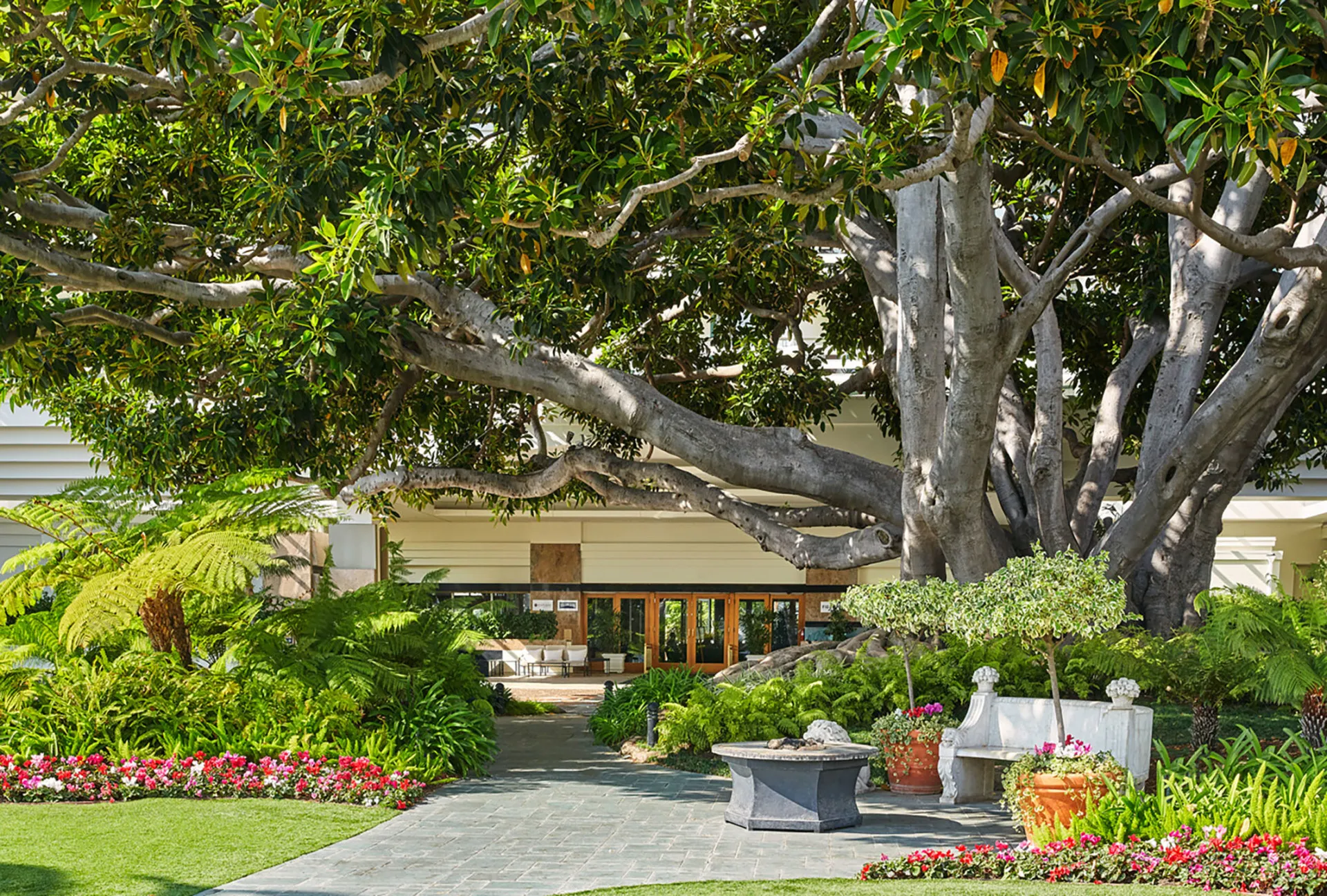 2--FMH2-EXTERIOR-CHRISTIANHORAN-FIGTREE-8