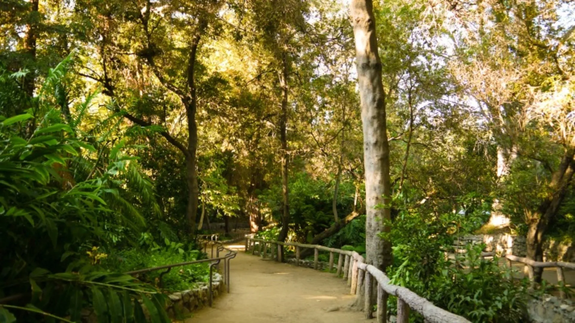 Ferndell Nature Museum