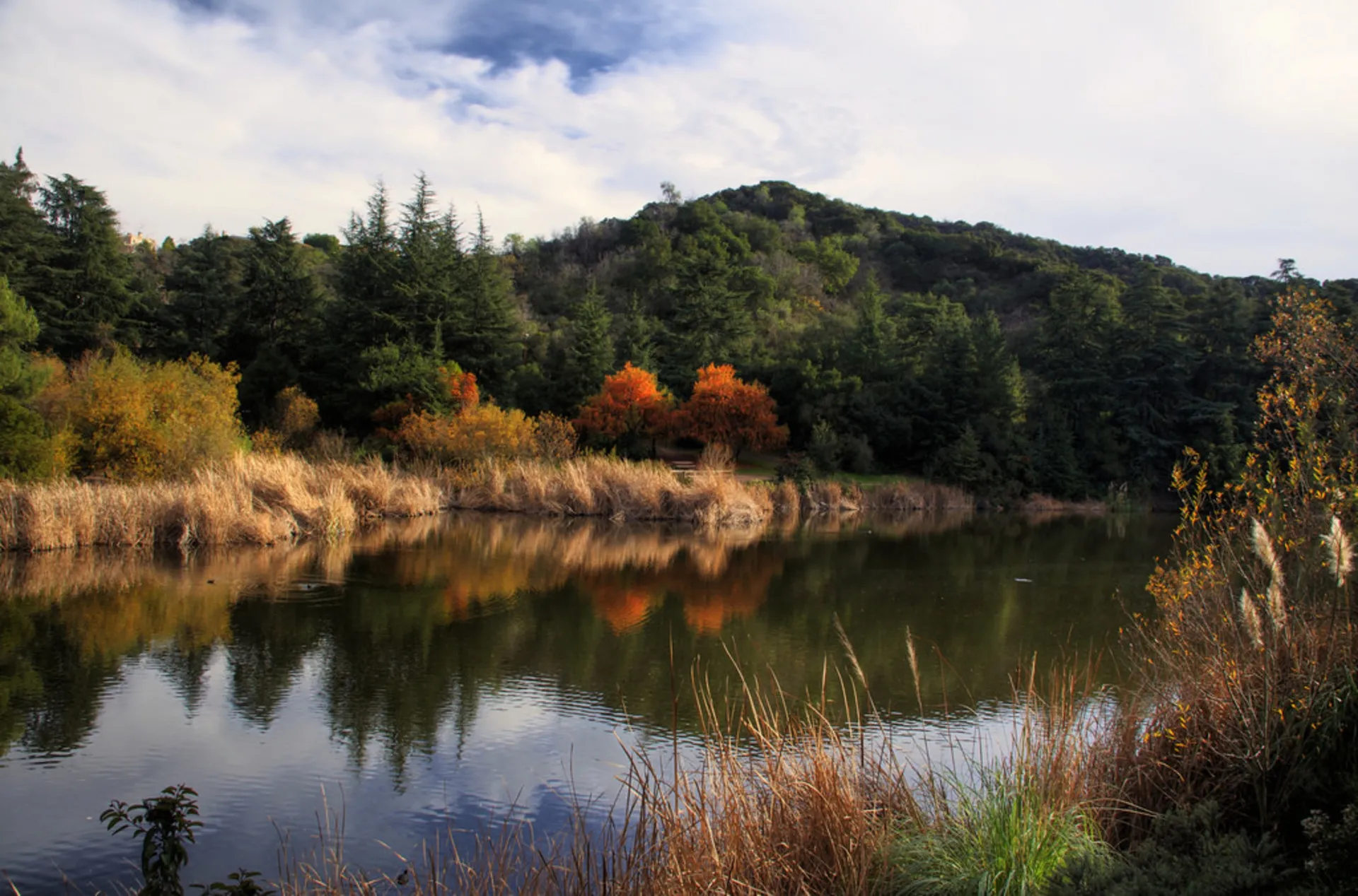 Franklin Canyon Park