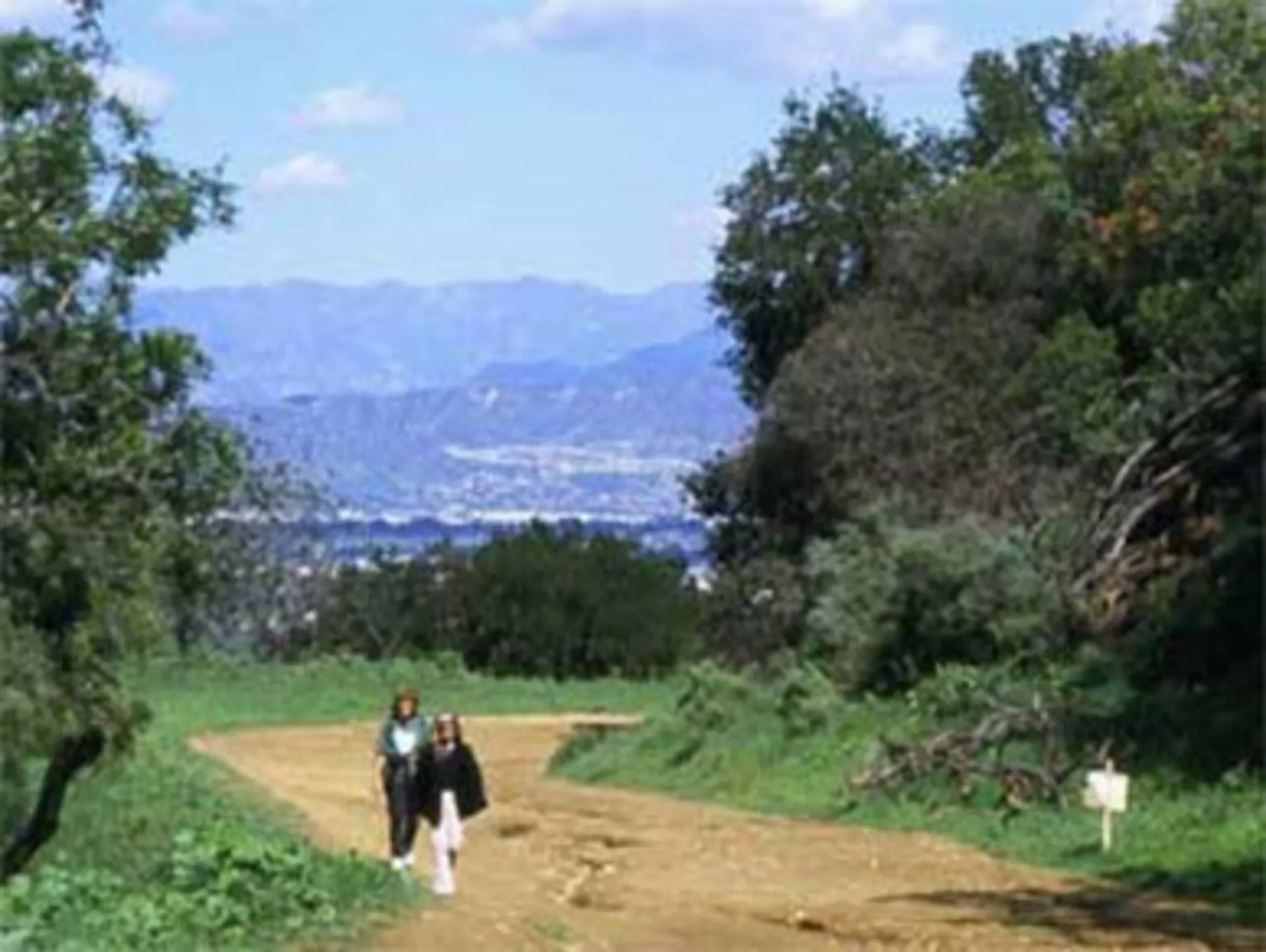Fryman Canyon Park