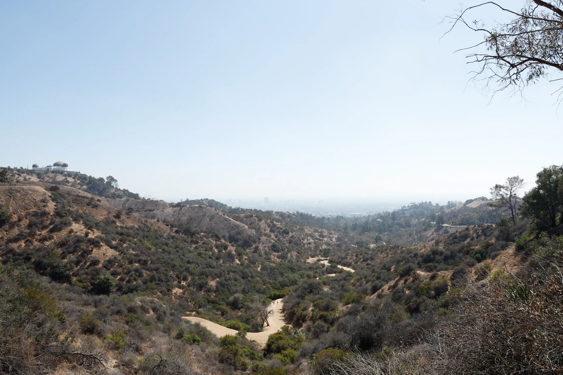 Griffith Park 1