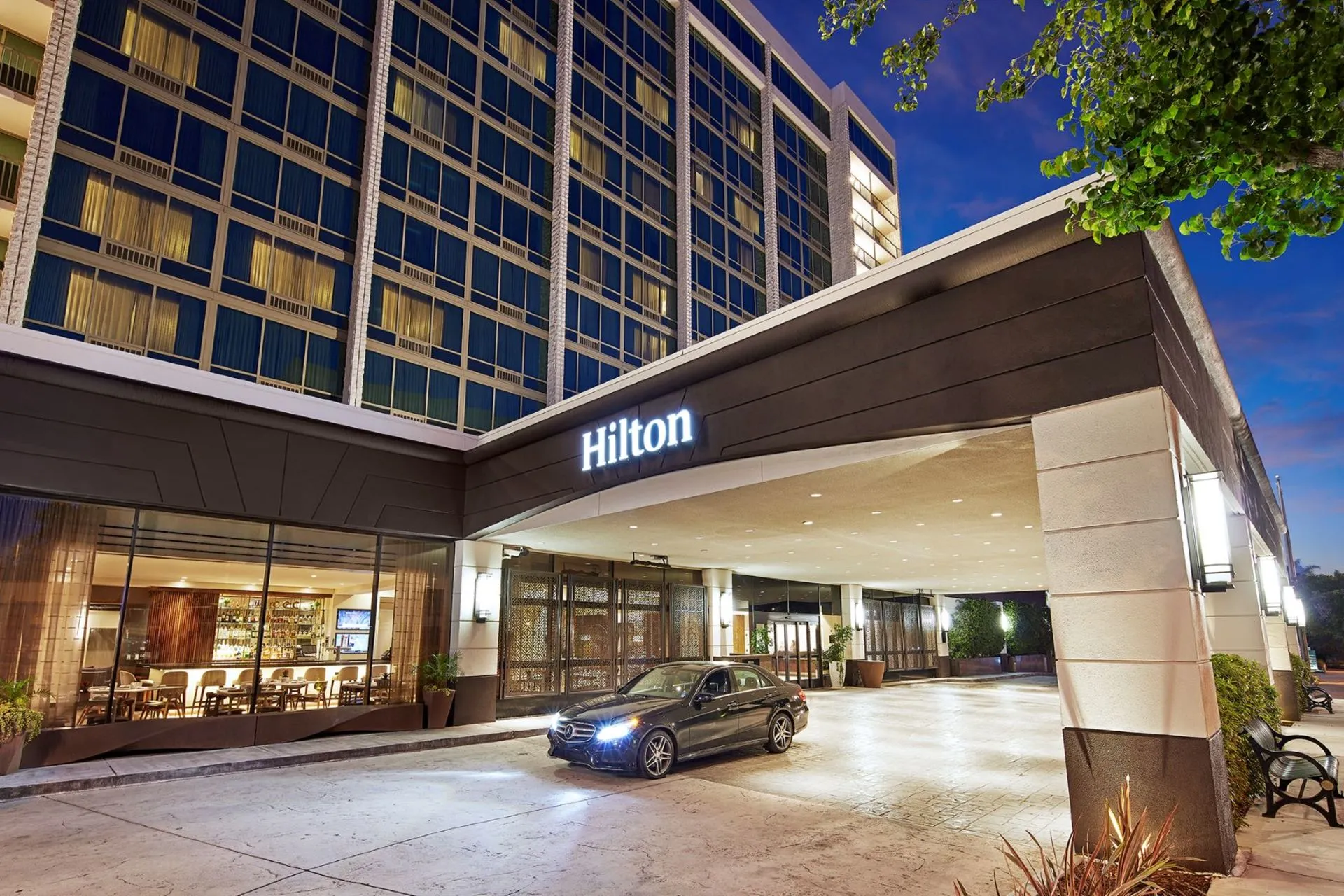 Hilton 1