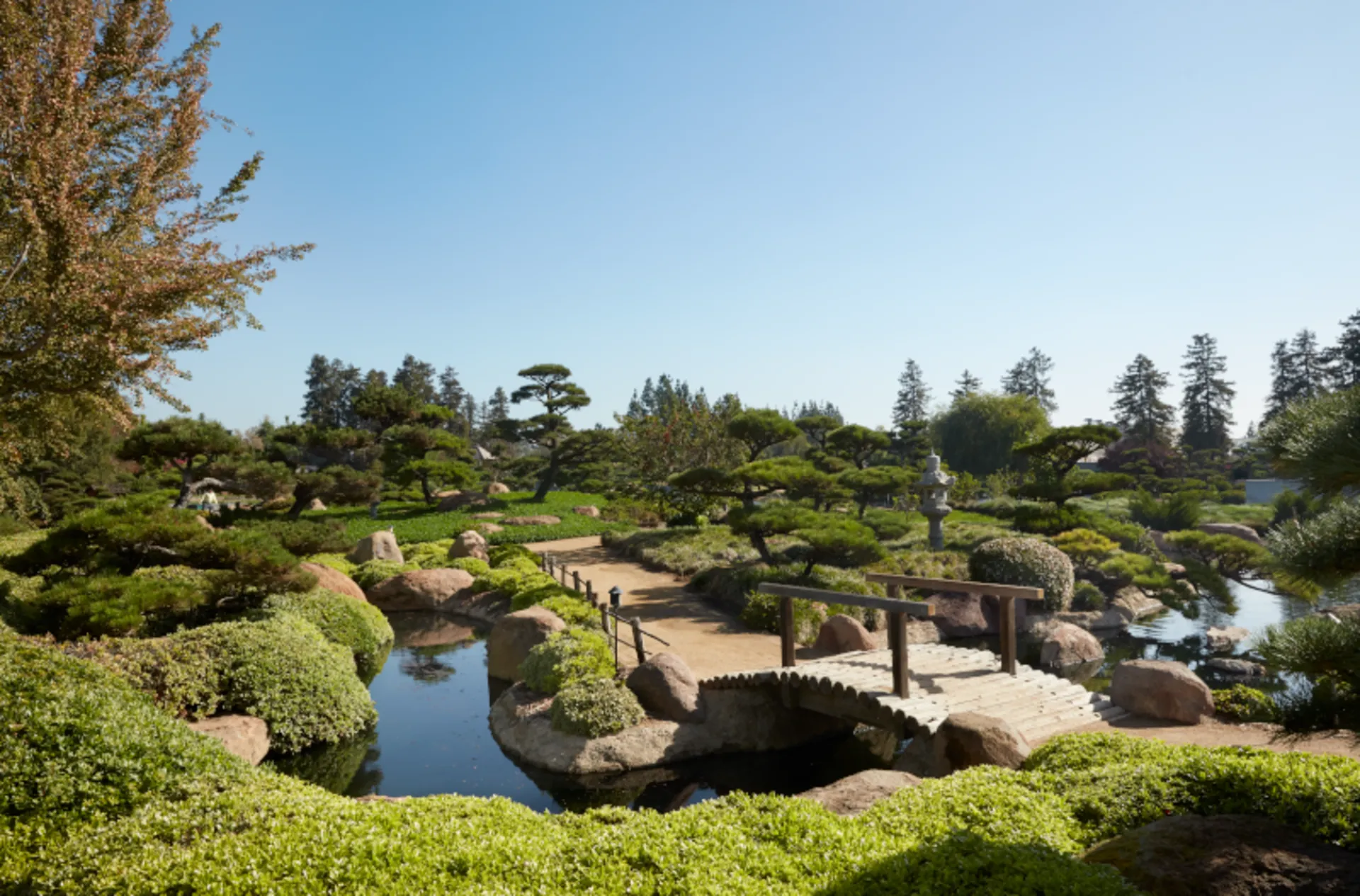 Japanese Garden 1