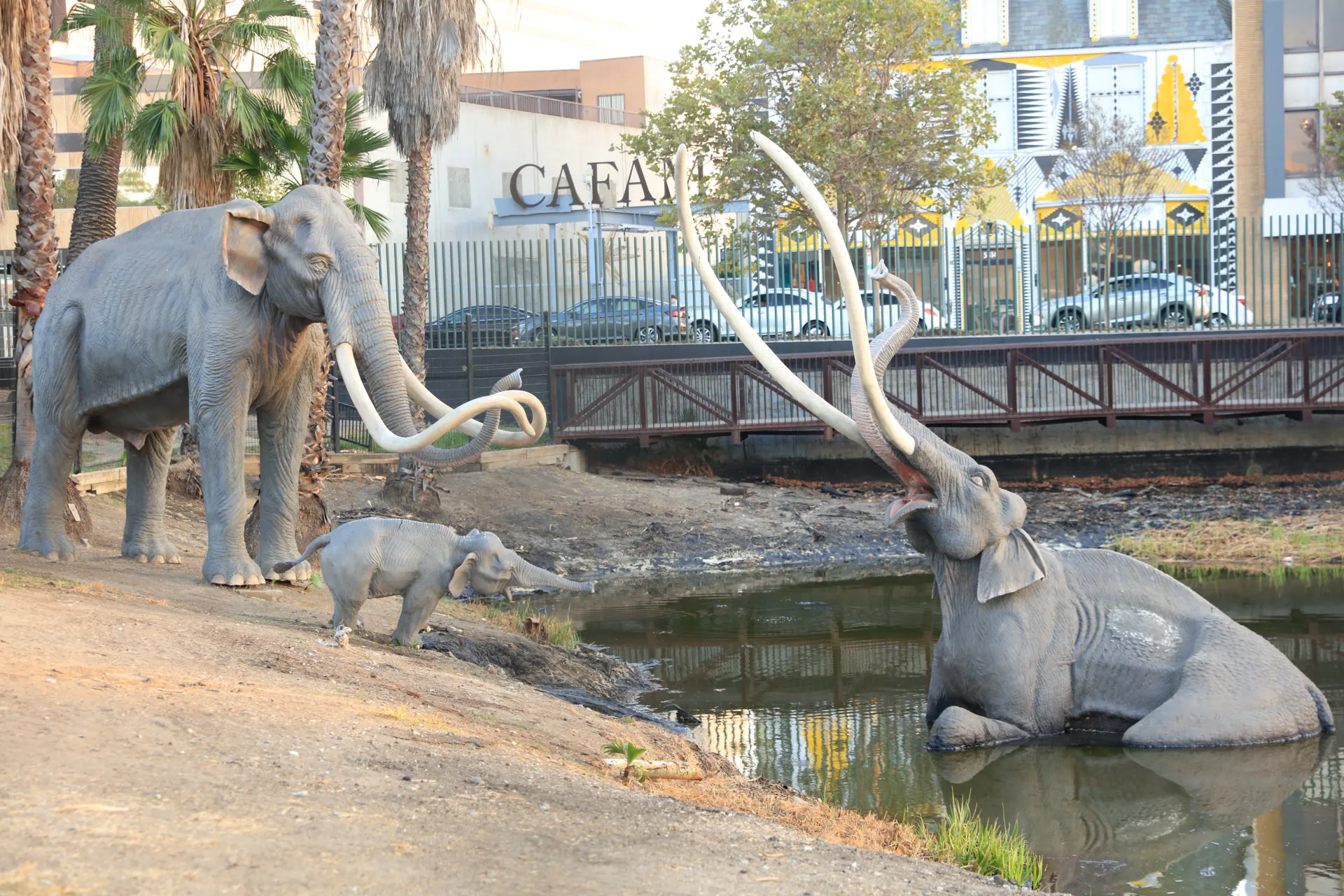 La Brea Tar Pits 1