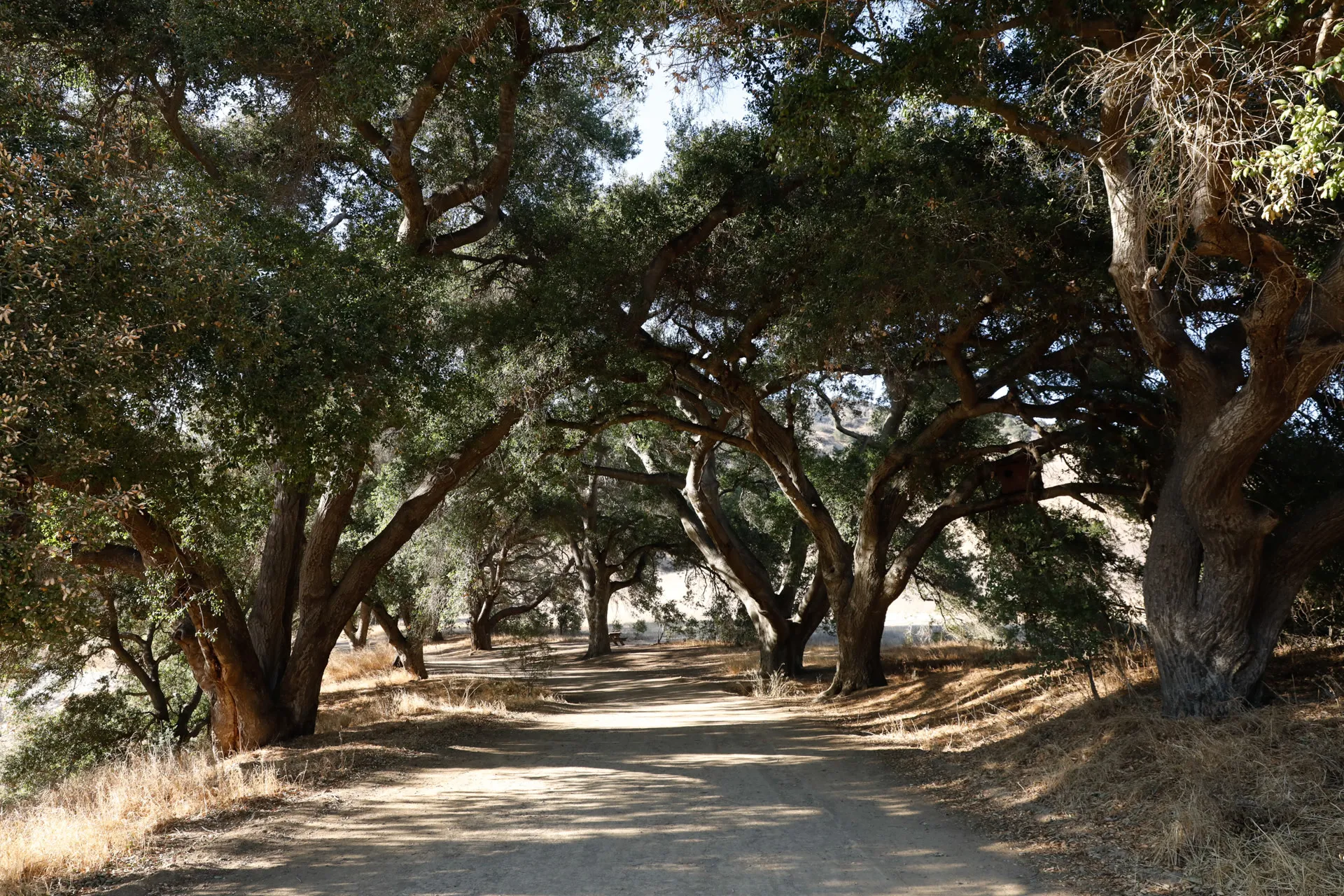 Malibu Creek State Park