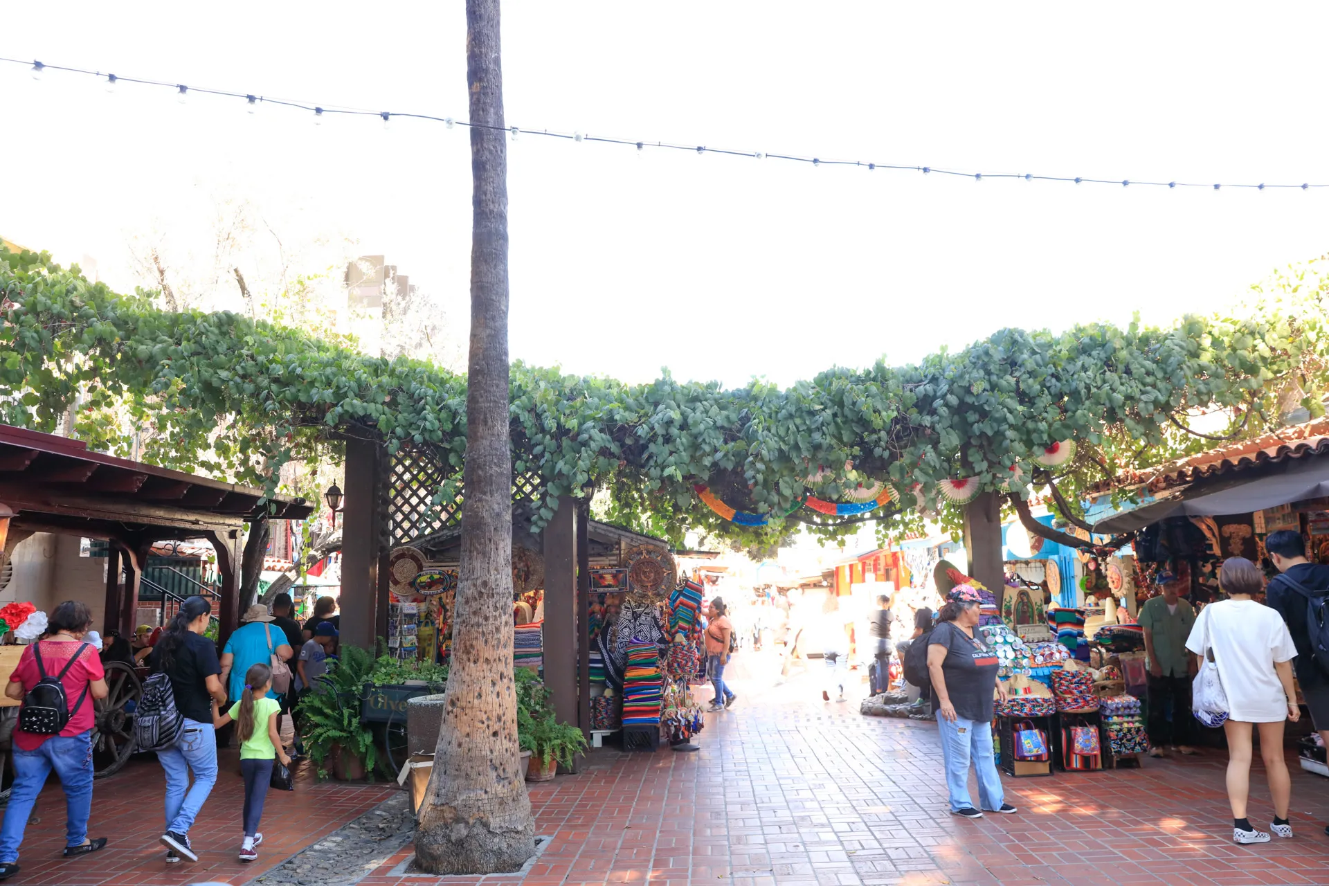 Olvera Street 2