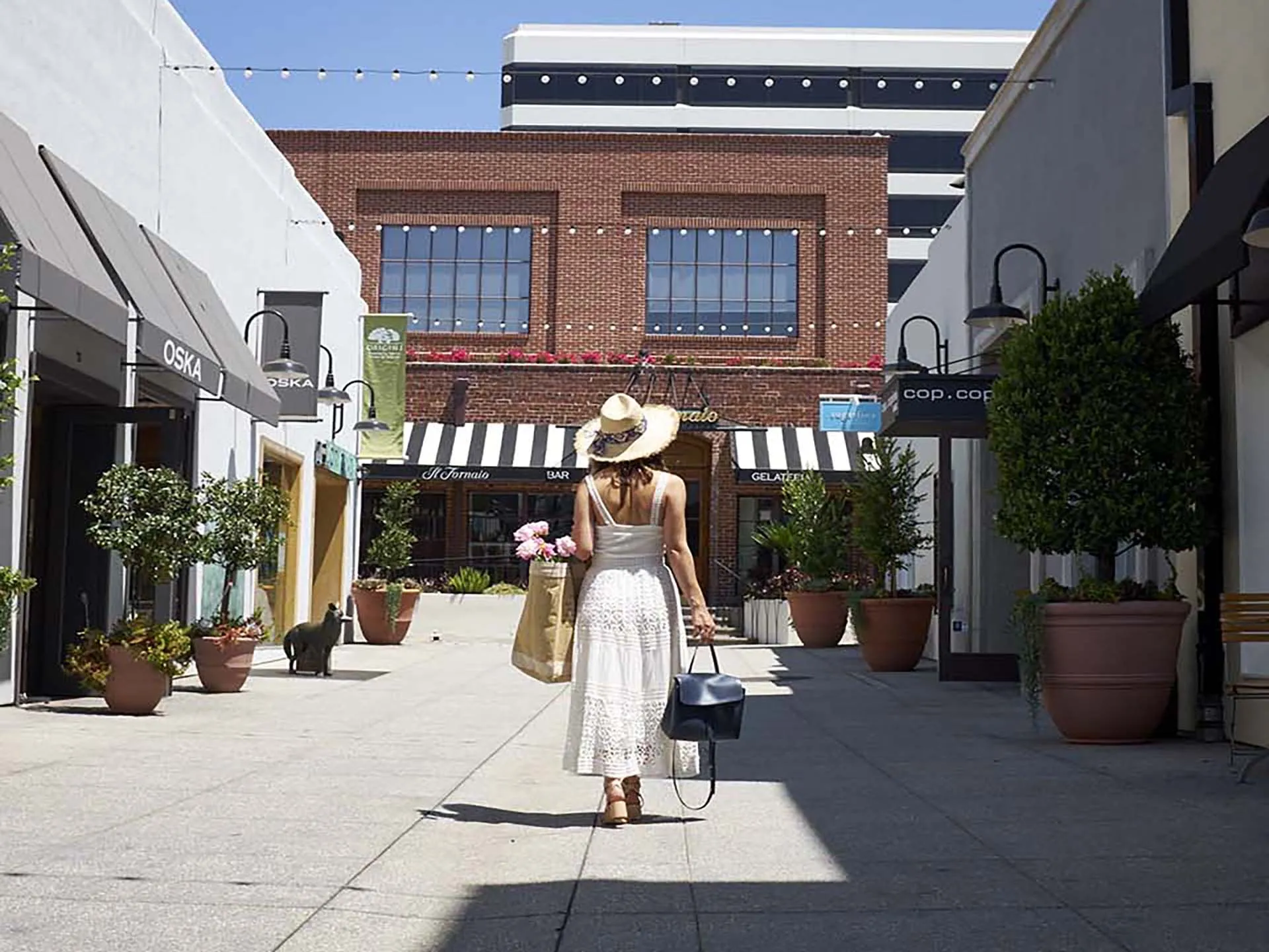 Luxury Boutique Retail