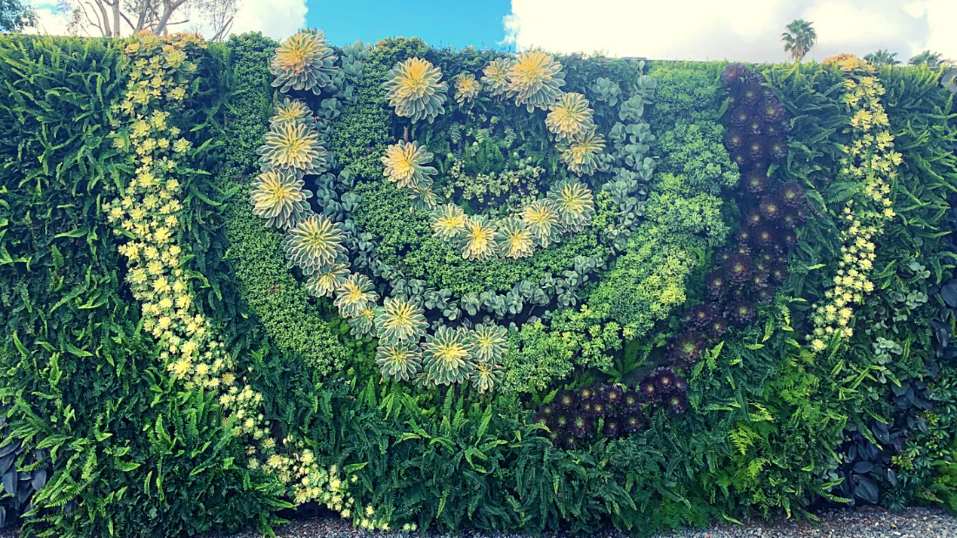 South Coast Botanic Garden