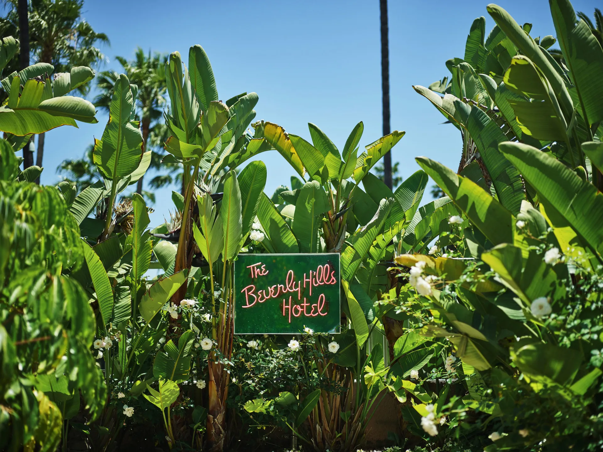 Citrus Garden sign