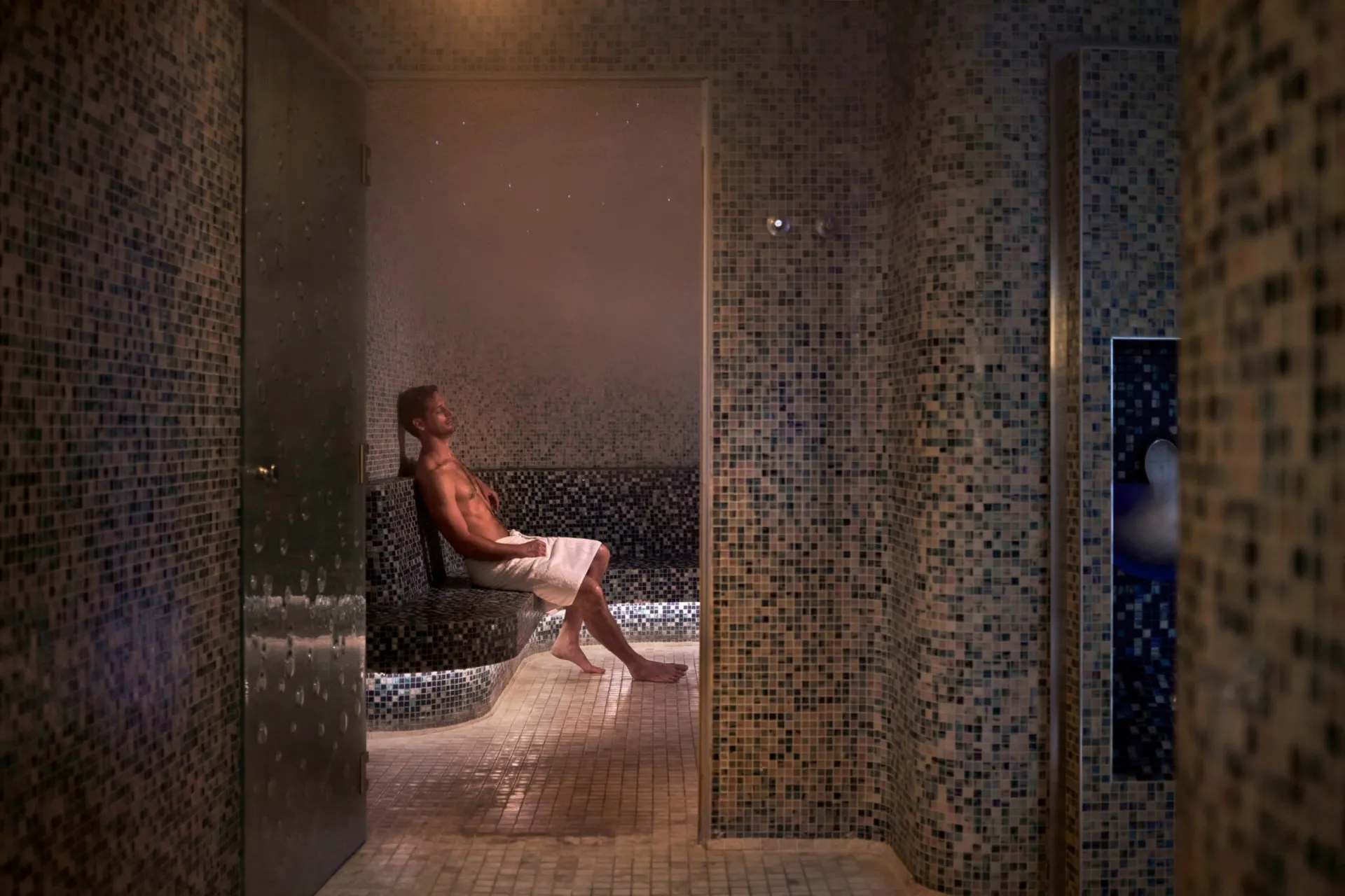 Eucalyptus Steam Room