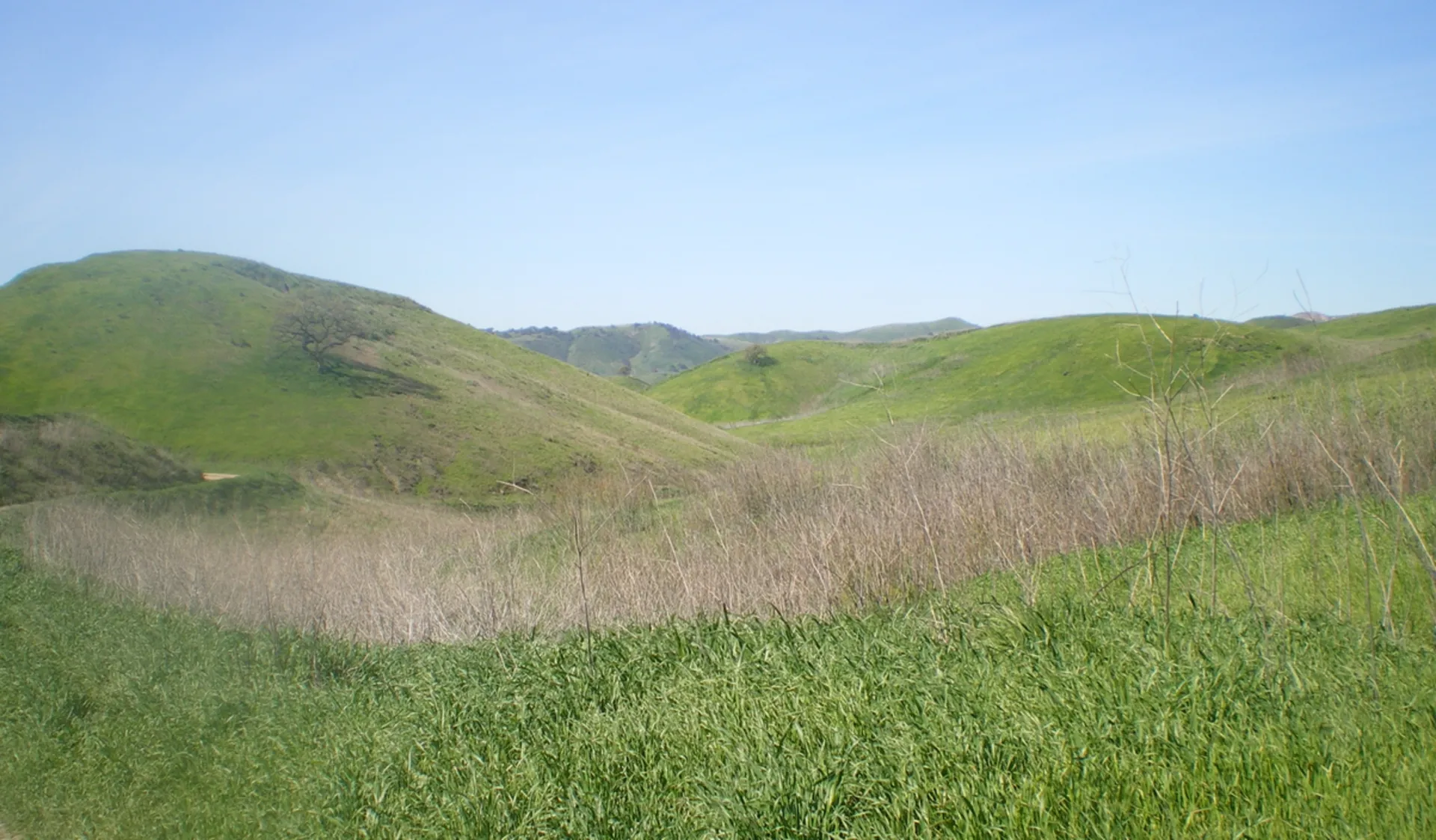 Upper Las Virgenes Canyon Open Space Preserve