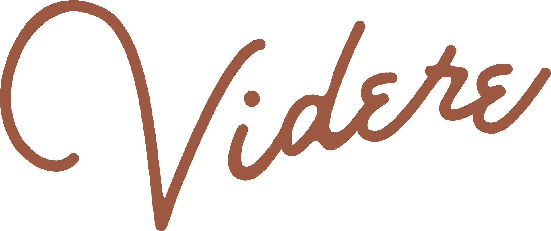 videre logo