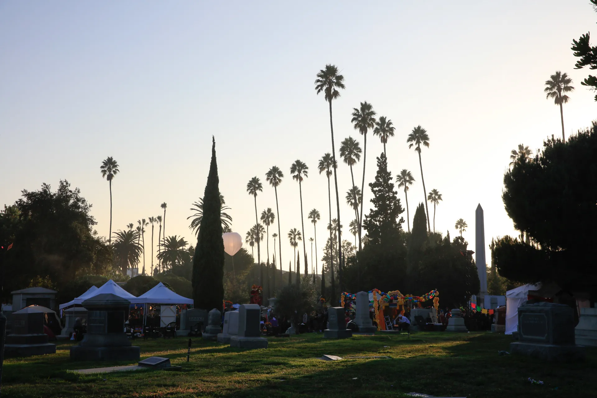 Hollywood Forever Cemetery movie event