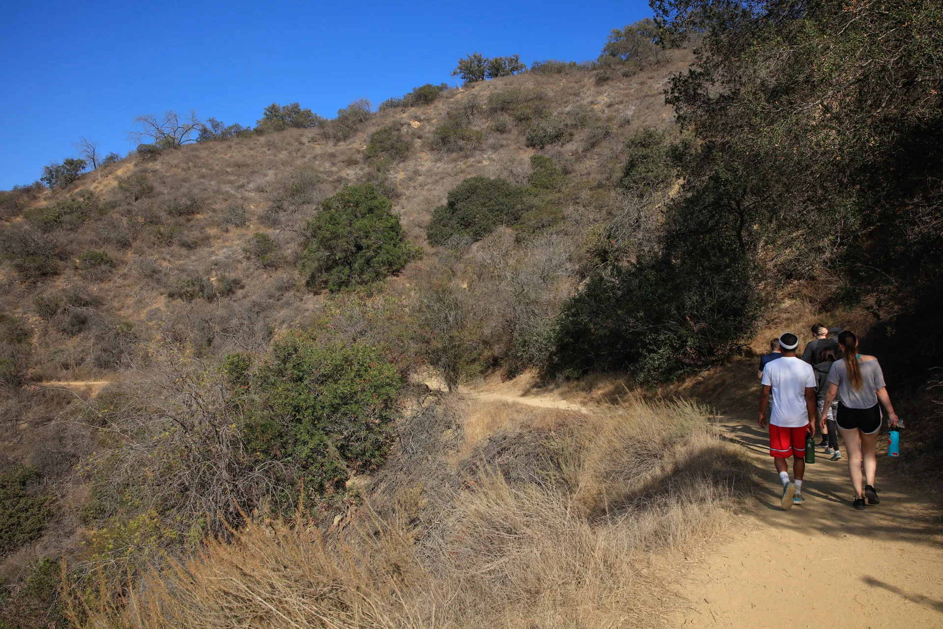 Fryman Canyon Hike Studio City