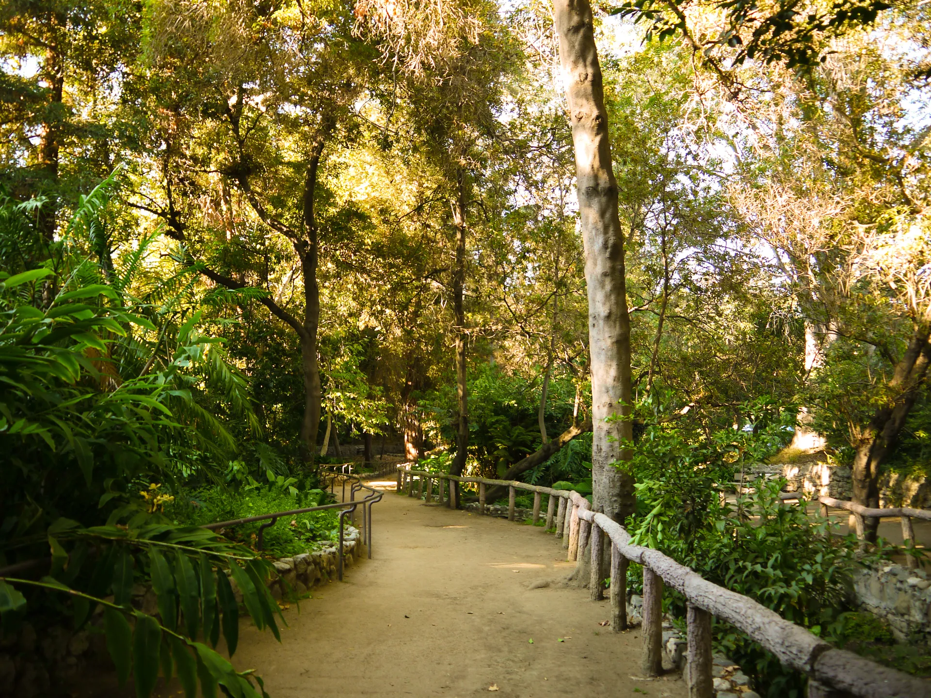 Fern Dell Nature Museum at Griffith Park