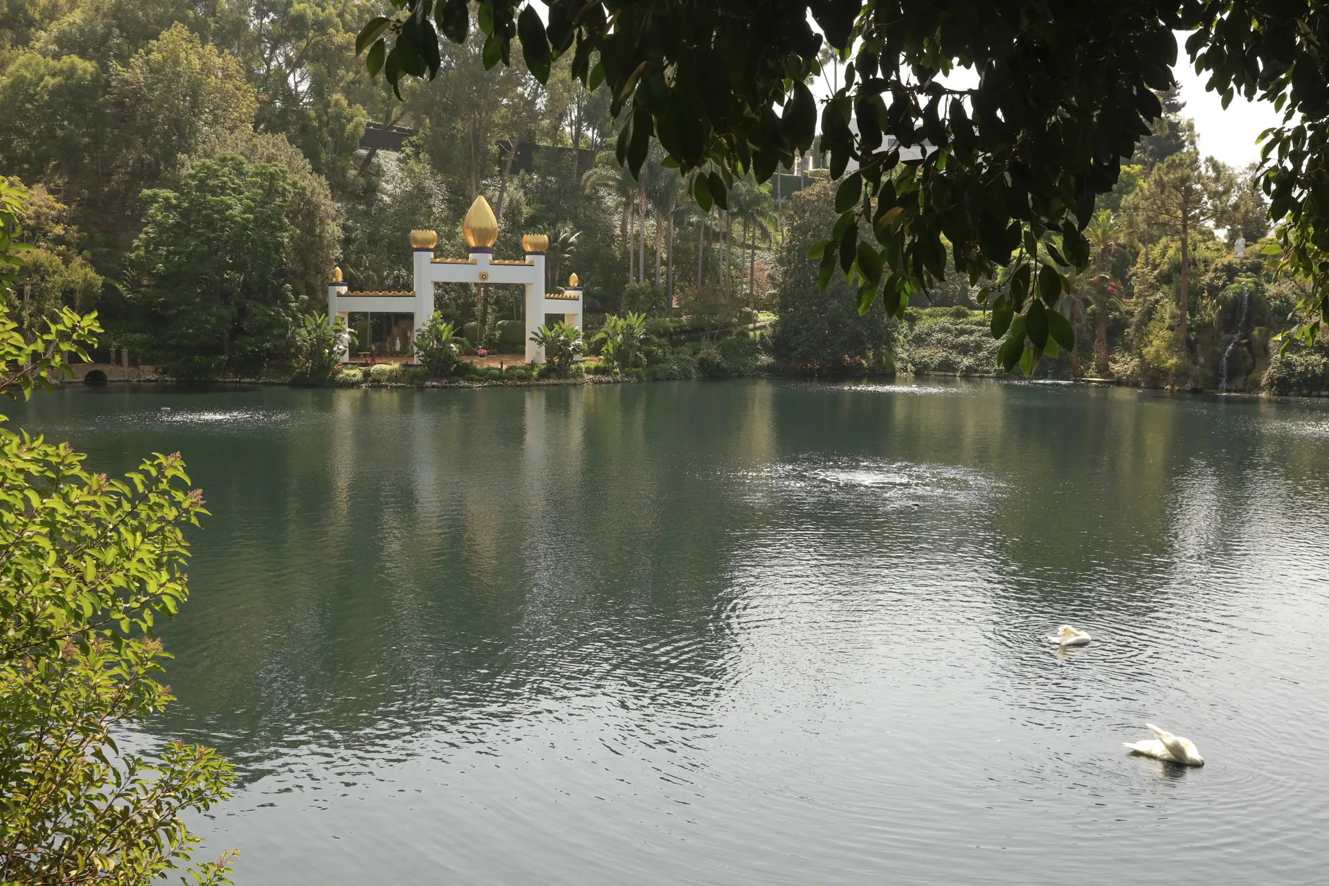 Golden Lotus Temple and swans at the Self-Realization Fellowship Lake Shrine