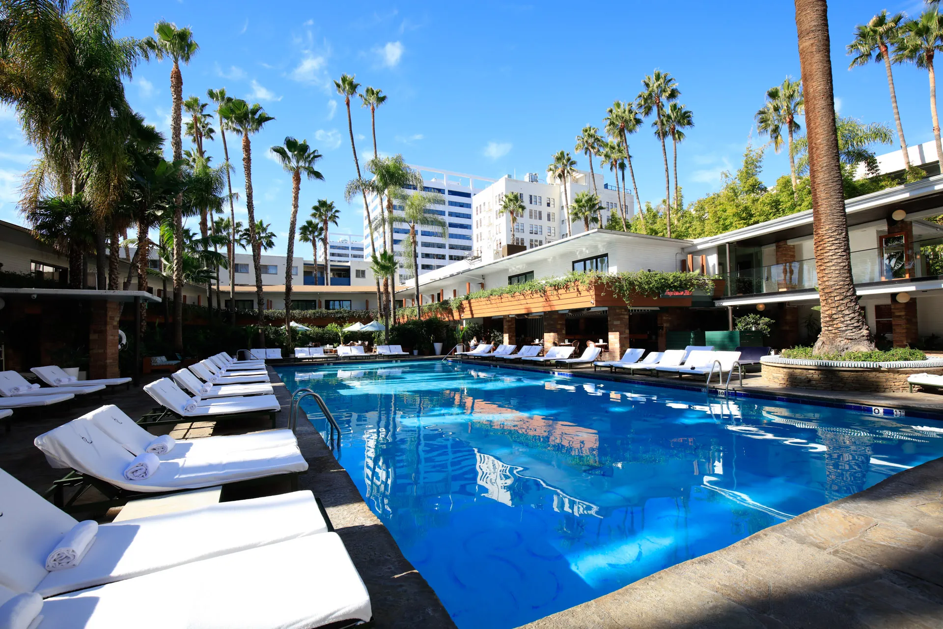 Tropicana Pool and Cabanas at the Hollywood Roosevelt
