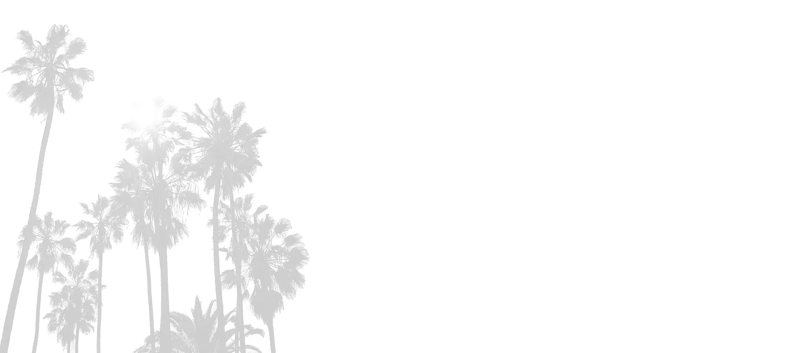 Palm tree background