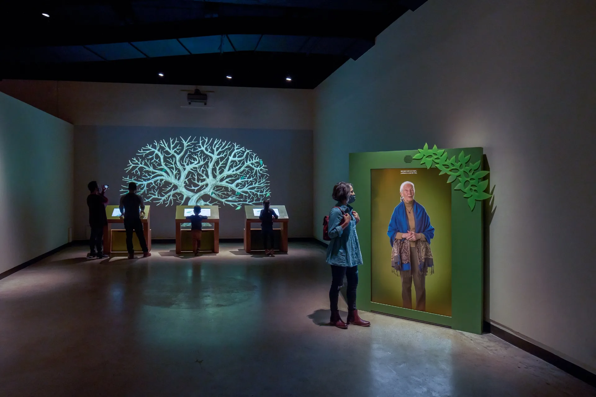 Chimpanzee Family Tree from "Becoming Jane" at the Natural History Museum