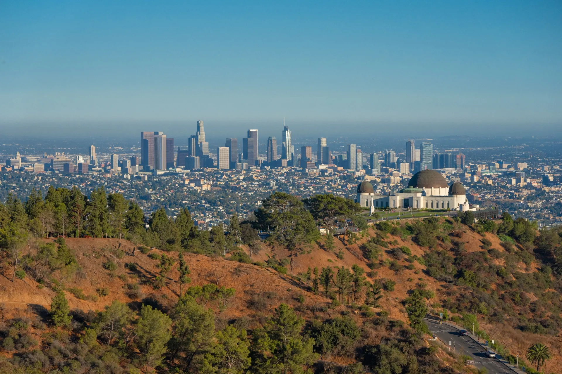 LA Skyline at Griffith Park