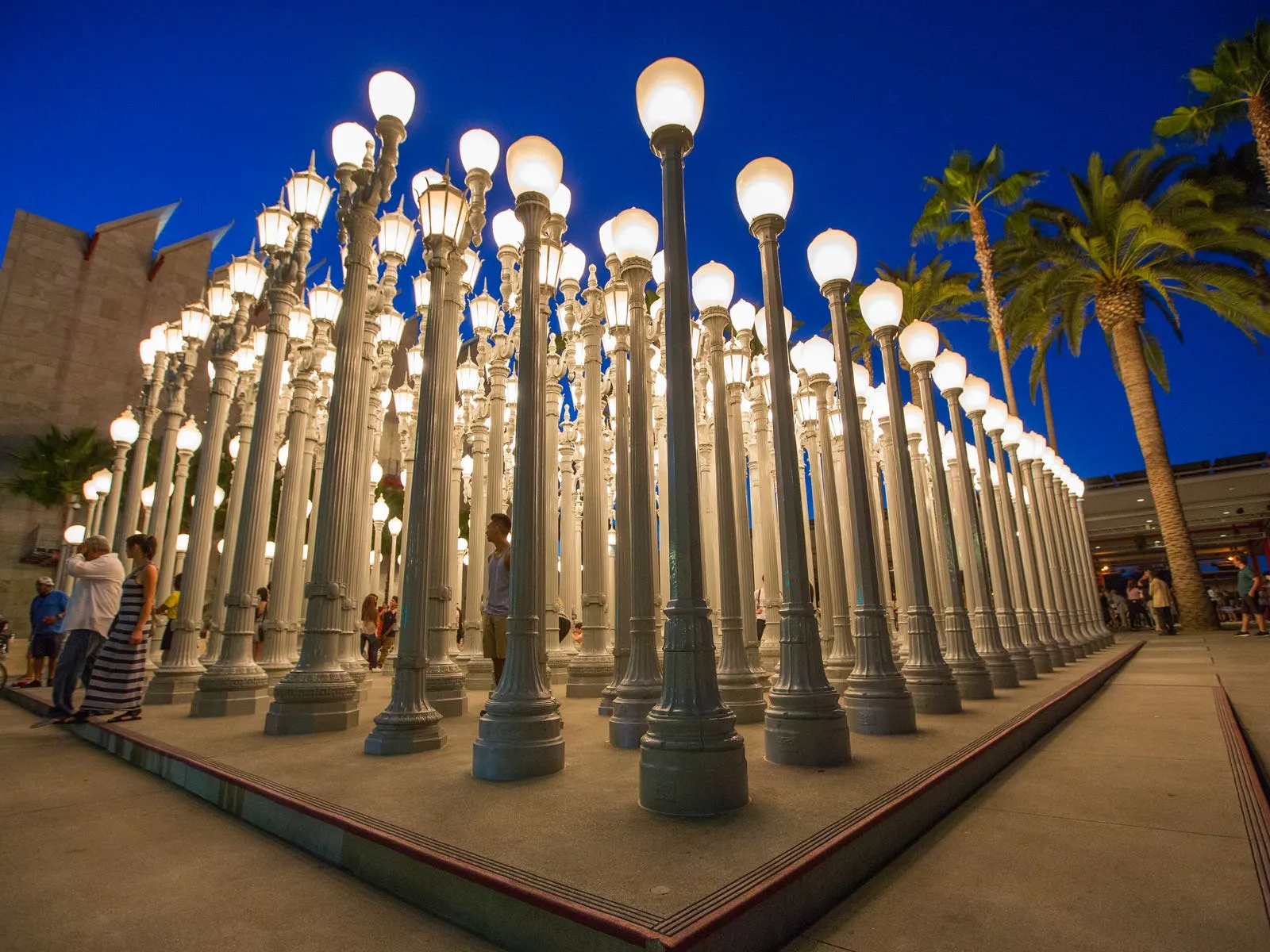 Night view of Chris Burden's "Urban Light" at LACMA
