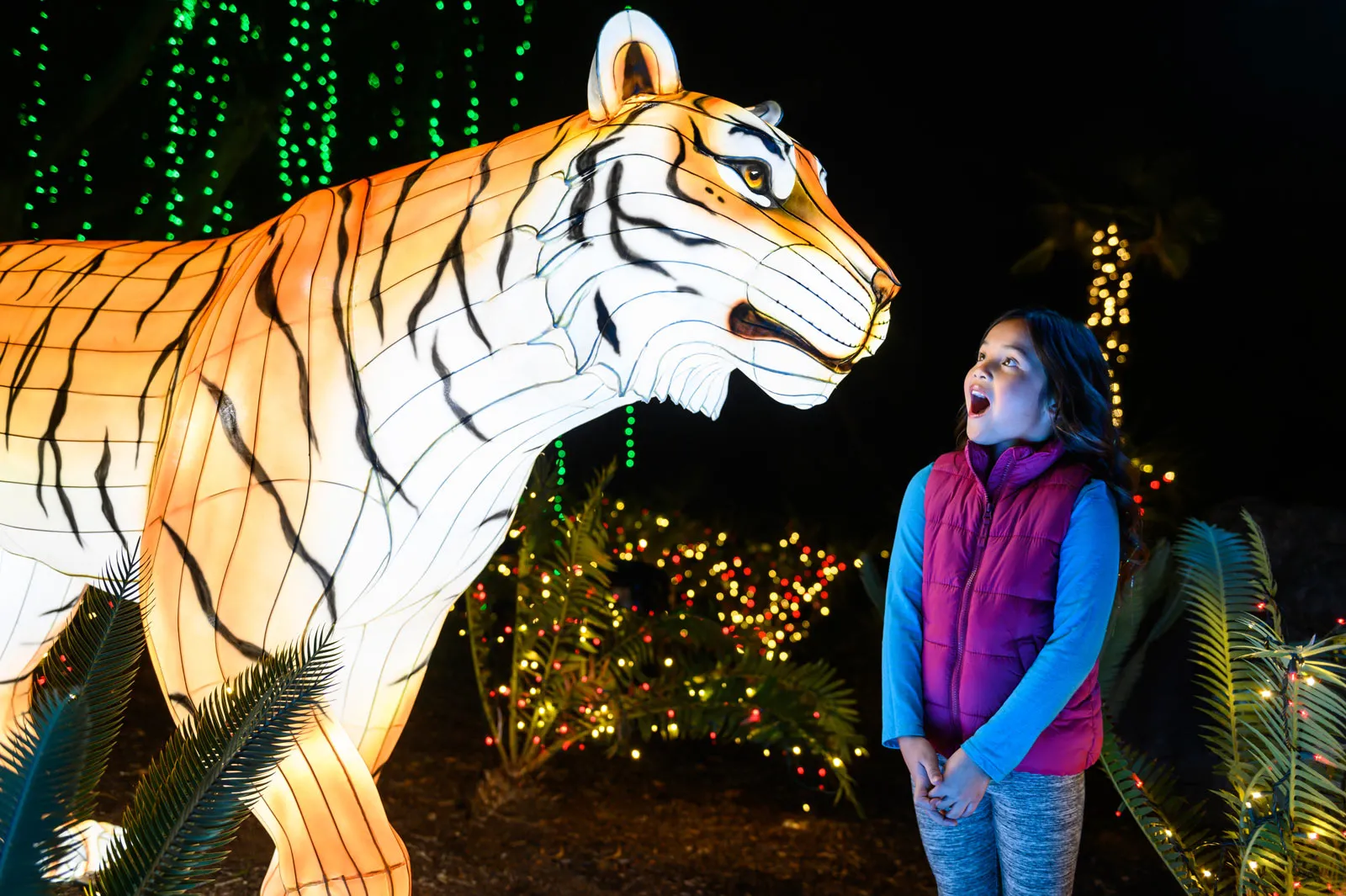 Tiger Terrace at L.A. Zoo Lights: Animals Aglow