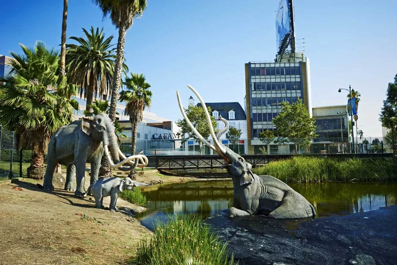 View of the mammoth sculptures in the Lake Pit at La Brea Tar Pits