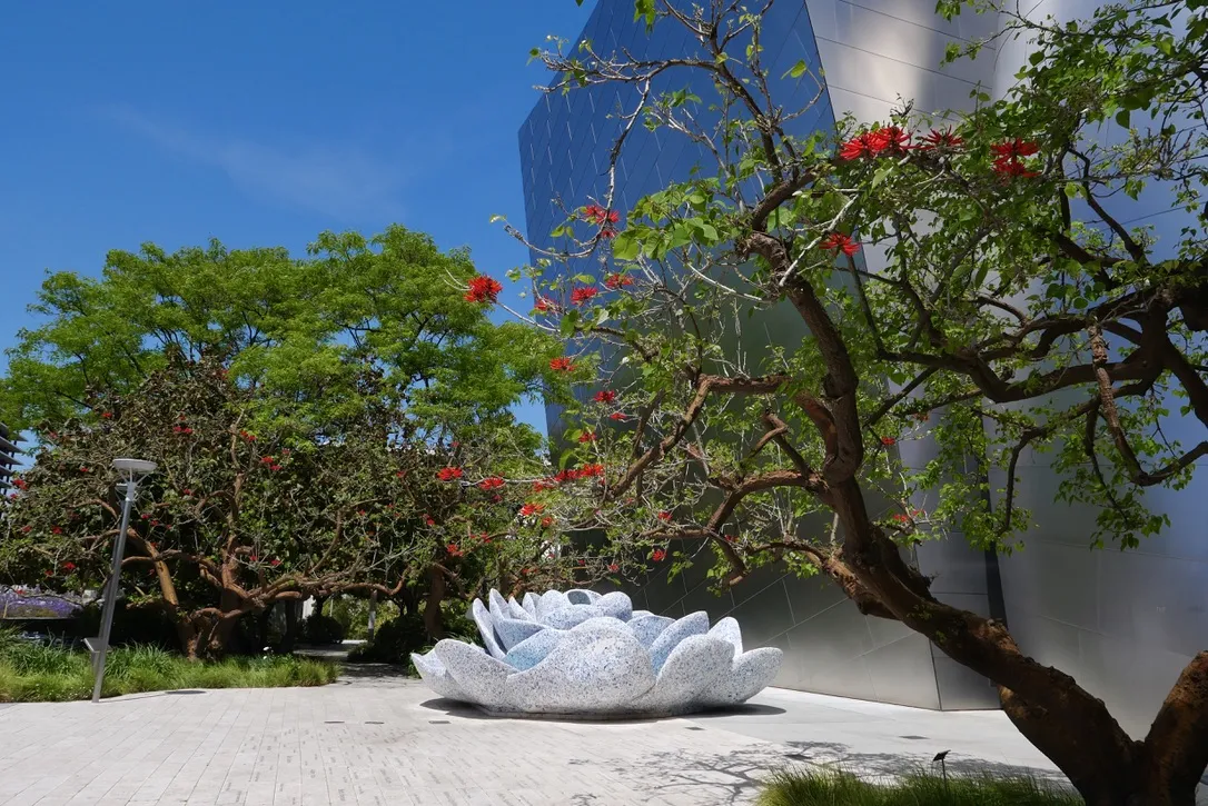 Rose for Lilly Disney Hall 