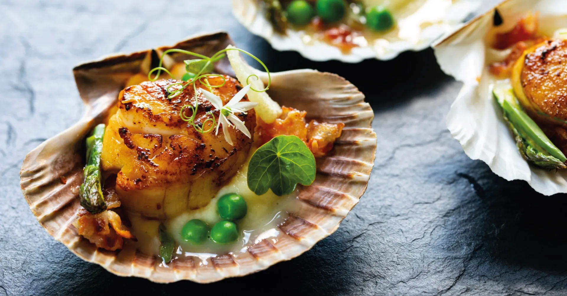 scallops