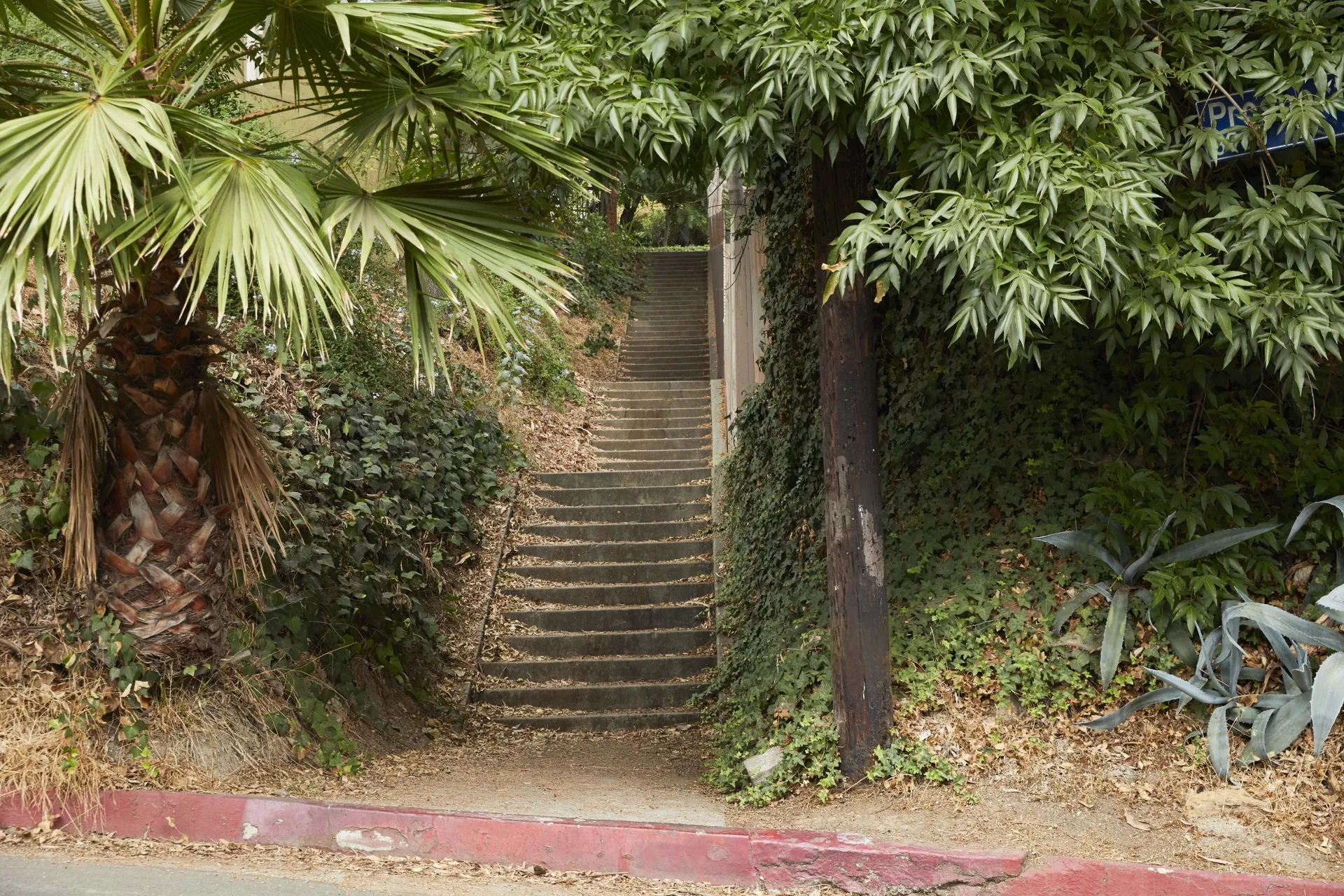 Prospect Stairs