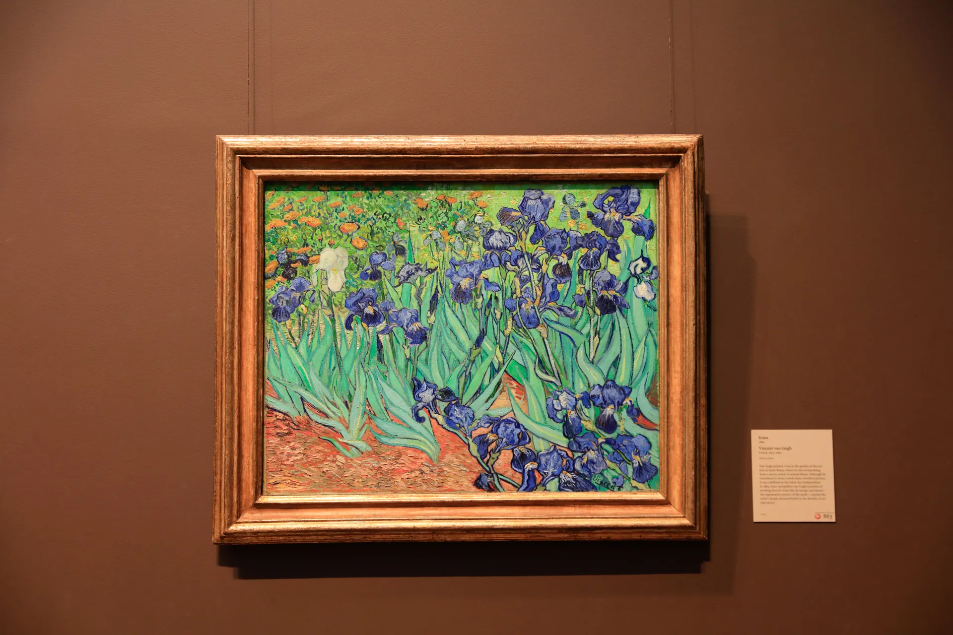 Vincent van Gogh, "Irises" (1889) 