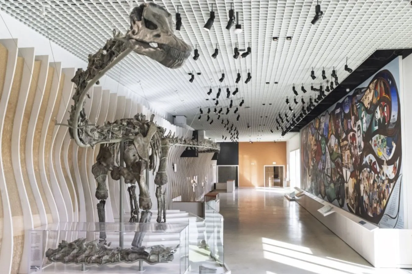 NHM Commons at the Natural History Museum