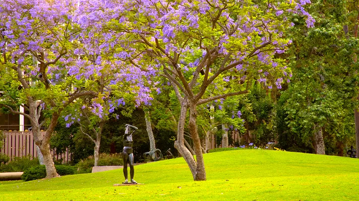 Franklin D. Murphy Sculpture Garden at UCLA